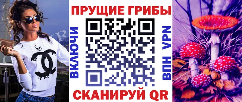 mega онион  купить наркотик  Красновишерск  Псилоцибиновые грибы мицелий 